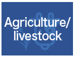 Agriculture/livestock