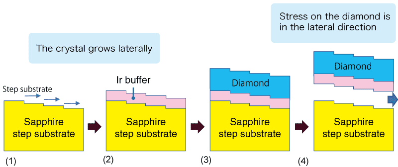 Step-flow growth:strain in the 
lateral directionThe crystal grows 
in the lateral direction（Sapphire step substrate, Ir buffer, Diamond）