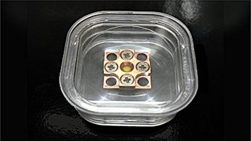 共晶結晶（蛍光体）デバイス例
